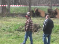 PECHE AUX TRUITES GEANTES 2013