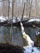 Nettoyage OBER-MITTLENGRABEN 2010